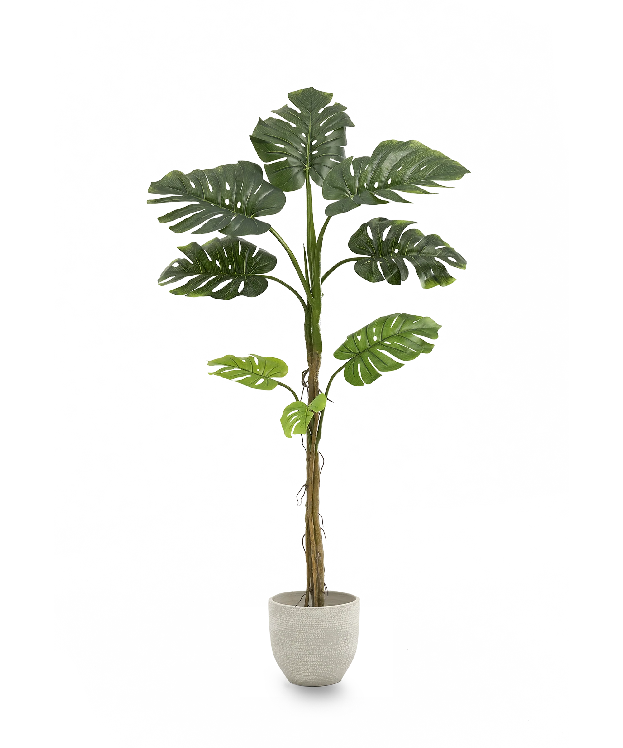 Miniatura 9