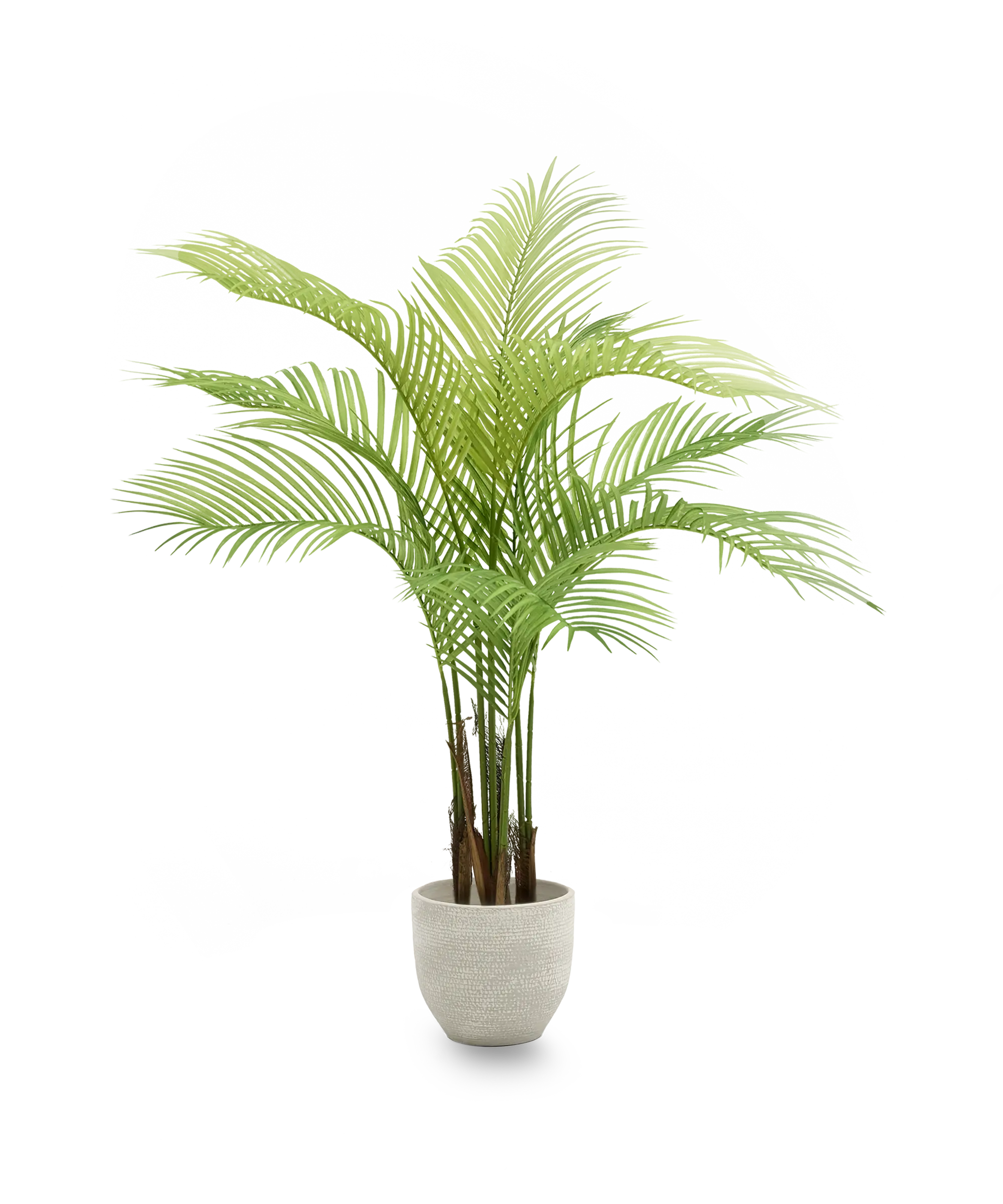 Miniatura 9